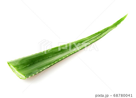 Aloe Vera Plant Isolated On White 68780041
