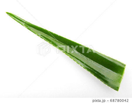 Aloe Vera Plant Isolated On White Background 68780042