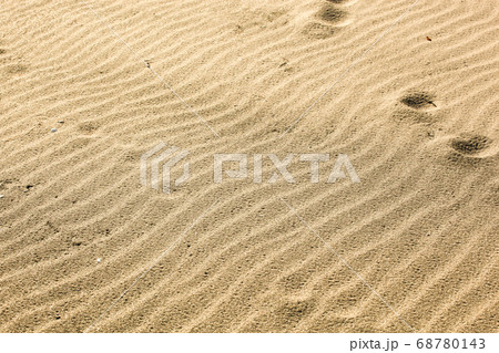 Close-Up Of Sand Background Texture 68780143