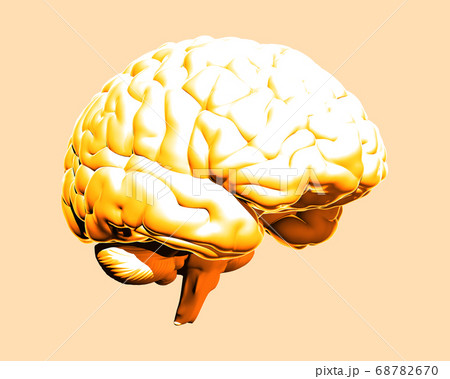 Yellow human brain illustration isolated on 68782670