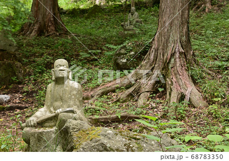 五百羅漢の棲む森 - 箱根・仙石原 五百羅漢の棲む森 - 箱根・仙石原 68783350