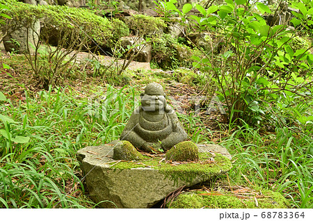 五百羅漢の棲む森 - 箱根・仙石原 五百羅漢の棲む森 - 箱根・仙石原 68783364