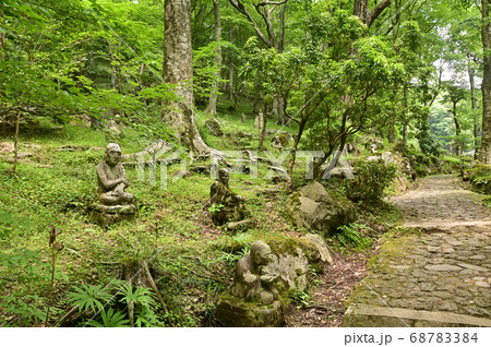 五百羅漢の棲む森 - 箱根・仙石原 五百羅漢の棲む森 - 箱根・仙石原 68783384