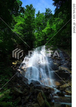 夏の北の沢大滝 夏の北の沢大滝 68784200