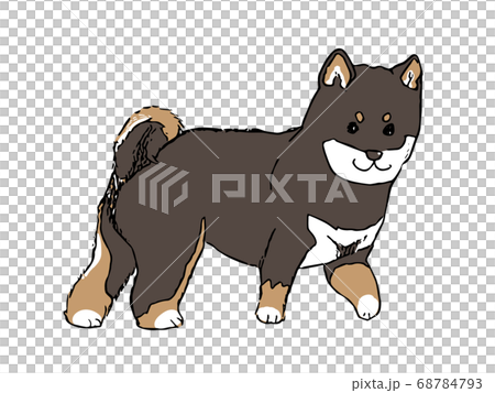 黒柴の子犬の全身イラストのイラスト素材