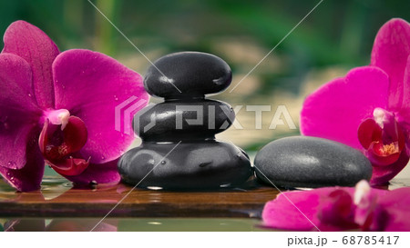 Black zen stones and pink orchids on a wooden plank on the surface of the water. SPA, relaxation, meditation concept Black zen stones and pink orchids on a wooden plank on the surface of the water. SPA, relaxation, meditation concept 68785417