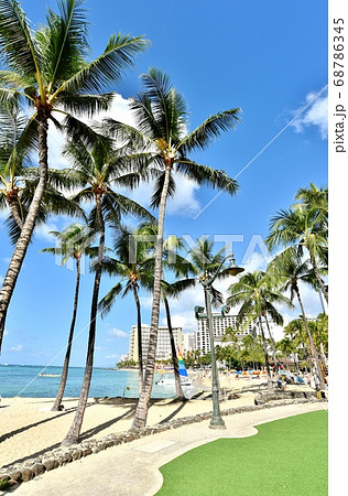 ハワイの休日 ハワイの休日 68786345