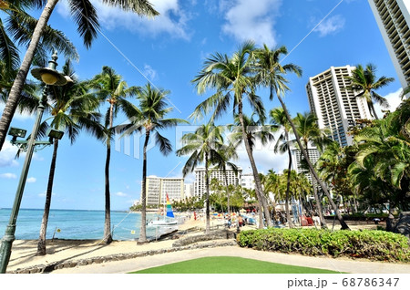 ハワイの休日 ハワイの休日 68786347