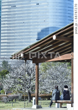 ウメの花咲く小春日和の浜離宮恩賜庭園 ウメの花咲く小春日和の浜離宮恩賜庭園 68787270