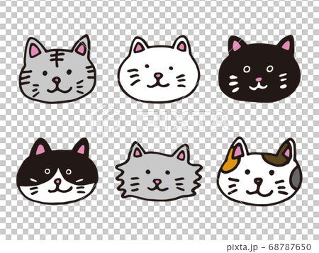 cat icon