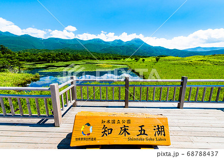 北海道 知床半島 夏の知床五湖 一湖展望台 の写真素材