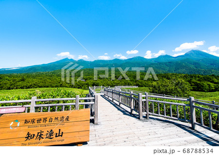 北海道 知床半島 夏の知床五湖(連山展望台から望む知床連山) 北海道 知床半島 夏の知床五湖(連山展望台から望む知床連山) 68788534