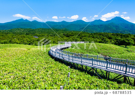 北海道 知床半島　夏の知床五湖（高架木道と知床連山） 68788535