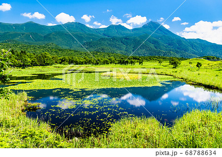 北海道 知床半島　夏の知床五湖（一湖と知床連山） 68788634