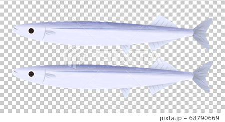 Pearl Pearl 68790669