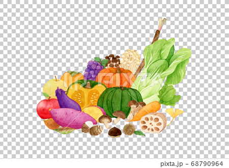 手描き水彩 秋の味覚 野菜と果物 イラストのイラスト素材