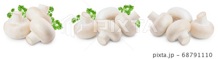 Fresh mushrooms champignon isolated on white background with clipping path and full depth of field. Set or collection Fresh mushrooms champignon isolated on white background with clipping path and full depth of field. Set or collection 68791110