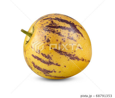 pepino melons on a white pepino melons on a white 68791353