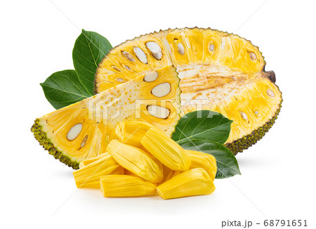 Jackfruit on white background Jackfruit on white background 68791651