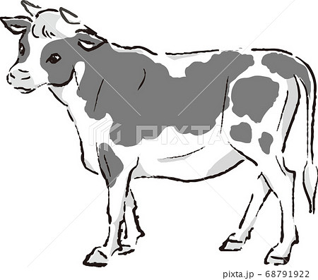 年賀　2021　丑年　墨絵　水墨画　かわいい　おしゃれ　イラスト素材 68791922