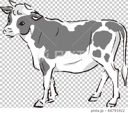 年賀　2021　丑年　墨絵　水墨画　かわいい　おしゃれ　イラスト素材 68791922