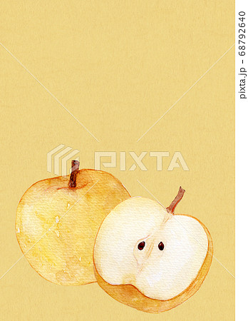 梨 秋の味覚 和梨 洋梨のイラスト素材