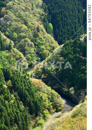 春の渓谷 岐阜県八百津町 春の渓谷 岐阜県八百津町 68793082