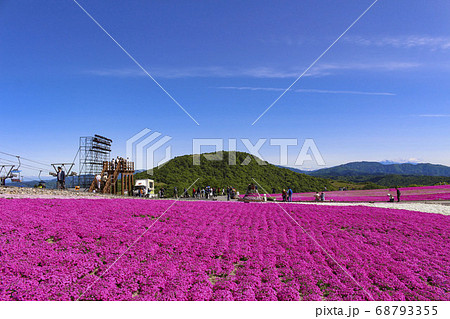 茶臼山高原 芝桜 68793355