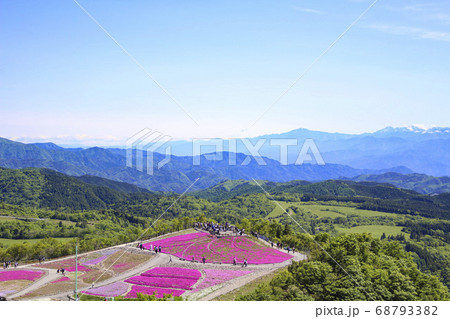 茶臼山高原 芝桜 68793382