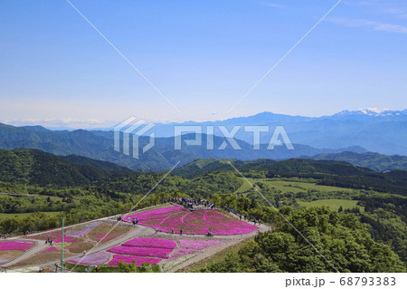 茶臼山高原 芝桜 68793383