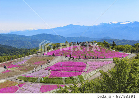 茶臼山高原 芝桜 68793391