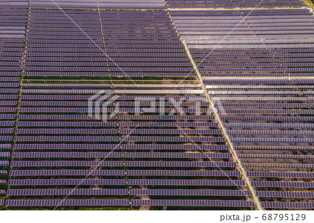 Aerial view of the solar panel in solar farm for green energy 68795129