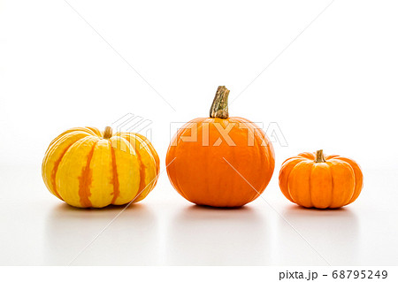 オレンジ色のカボチャ 白背景の写真素材