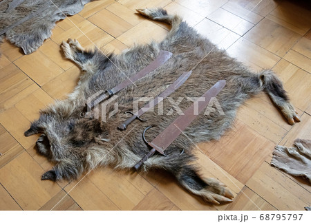 Old weapons on top of a fur of wild boar Old weapons on top of a fur of wild boar 68795797