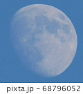 朝の月 68796052