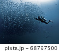 Diver and Jack Fish 68797500