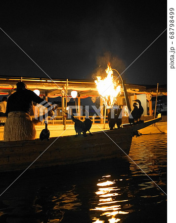 長良川鵜飼 鵜 長良川鵜飼 鵜 68798499