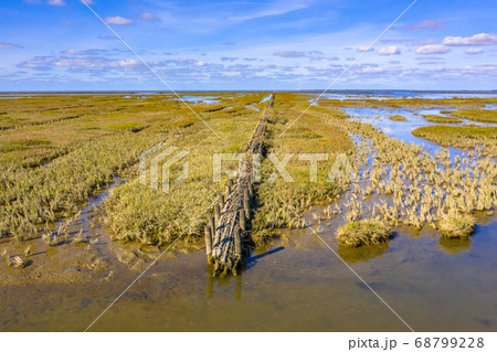 campshedding Tidal Marshland Waddensea 68799228