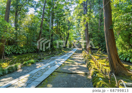 【神奈川県】鎌倉 緑が生い茂る寿福寺の参道 【神奈川県】鎌倉 緑が生い茂る寿福寺の参道 68799813
