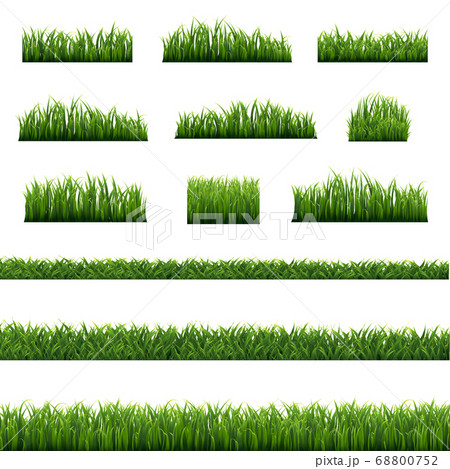 Green Grass Frame Isolated White background Green Grass Frame Isolated White background 68800752