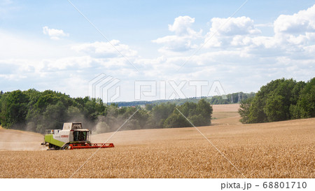 Combine harvester harvests ripe wheat in field Combine harvester harvests ripe wheat in field 68801710