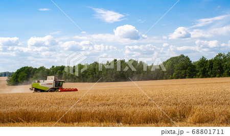 Combine harvester harvests ripe wheat in field Combine harvester harvests ripe wheat in field 68801711