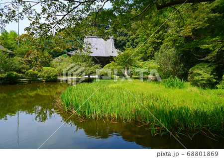 長岳寺　放生池と本堂 68801869
