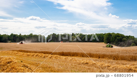 Combines at work in field during wheat harvesting Combines at work in field during wheat harvesting 68801954
