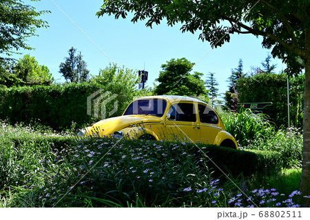順天市 生態公園 自動車 68802511
