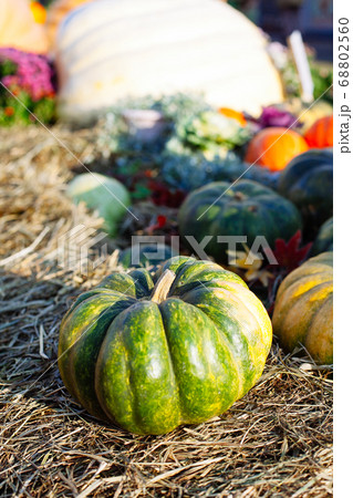 Pile of pumpkins sold at a market  for halloween. 68802560