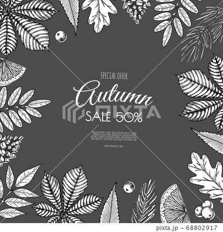 Autumn sale flyer template. Bright fall leaves. Poster, card, label, banner design. 68802917