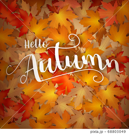 Autumn backgorund with dry leaf falling on 68803049