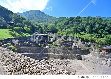 河東郡 智異山 自然の風景 68803322