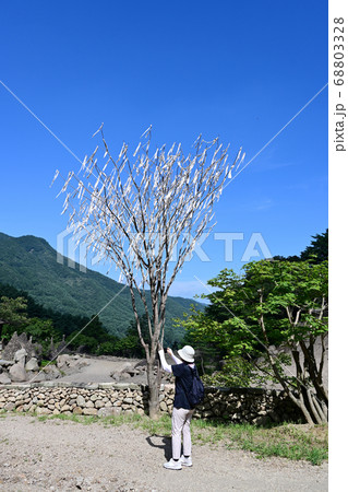 河東郡 旅行 智異山 68803328